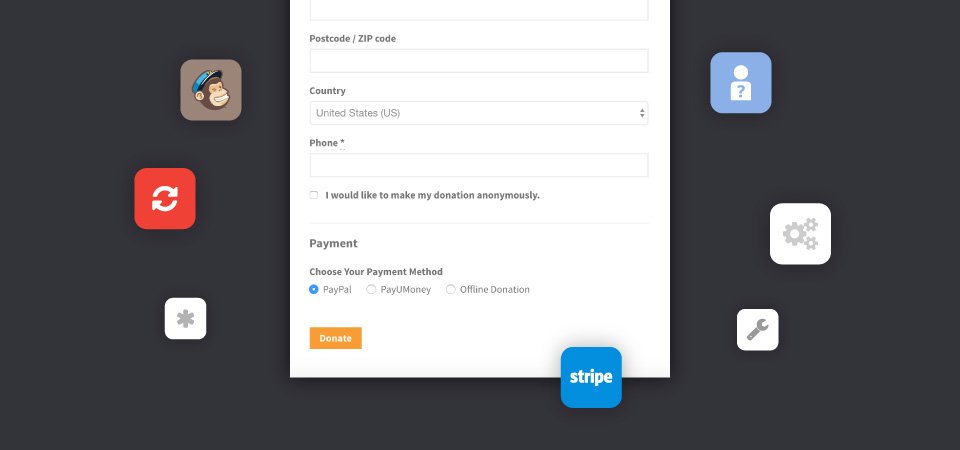 Graphic showing various ways the donation form can be customized.