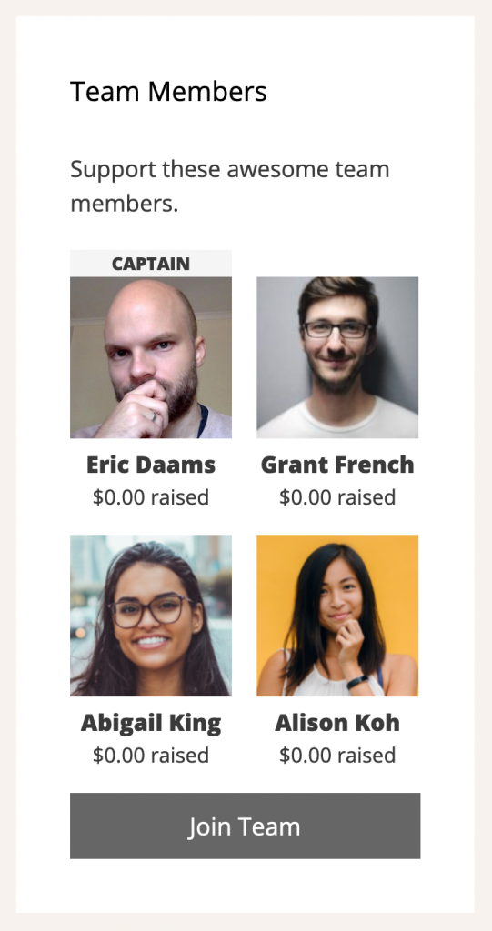 Screenshot of the Team Members widget in Charitable Ambassadors