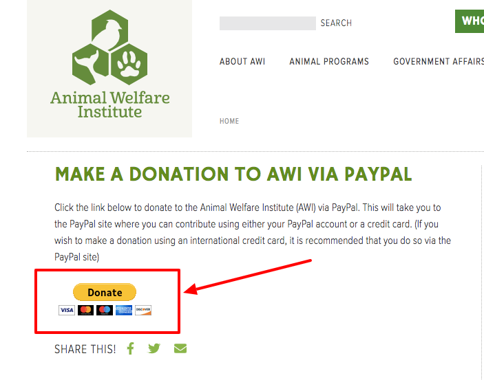 example of the paypal donate button on a website