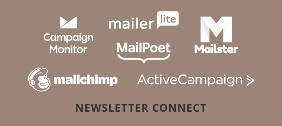 The Newsletter Connect extension.