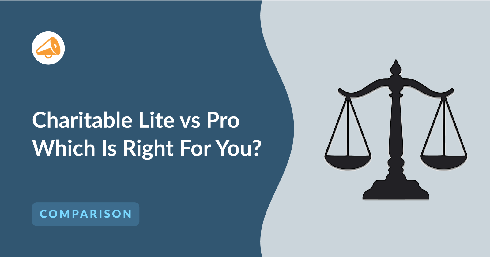 Charitable lite vs pro