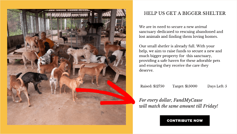 Urgency pyschology in campaign | Charitable Urgency pyschology in campaign