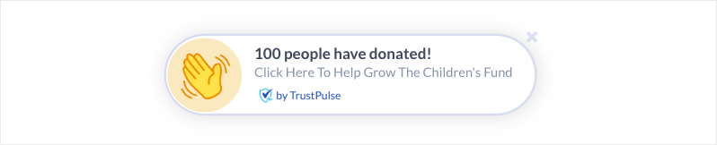 Visitor campaign | Charitable Visitor analytics campaign in TrustPulse