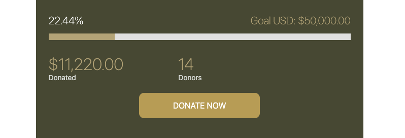 Progress bar with number of donors | Charitable Progress bar with number of donors