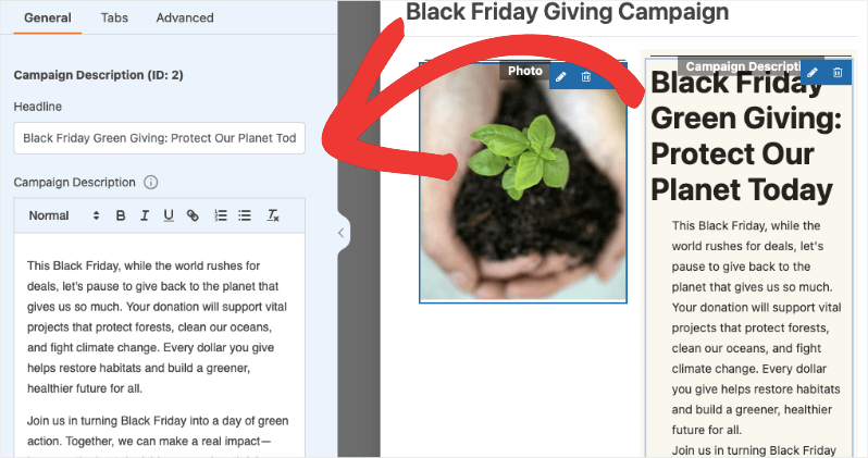 Change text in bf campaign | Charitable Change text in bf campaign