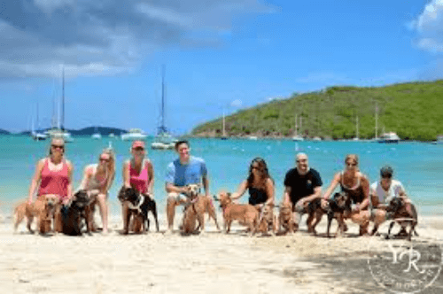 St Johns Animal Care