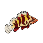 Marine Life Sanctuaries Society