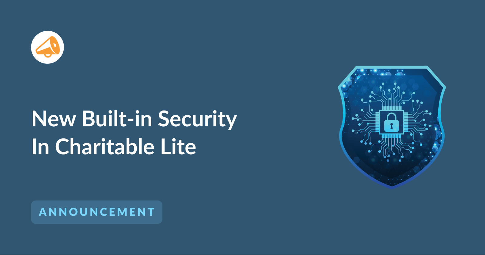 Secure Your Donation Forms with New Built-in Security in Charitable Lite