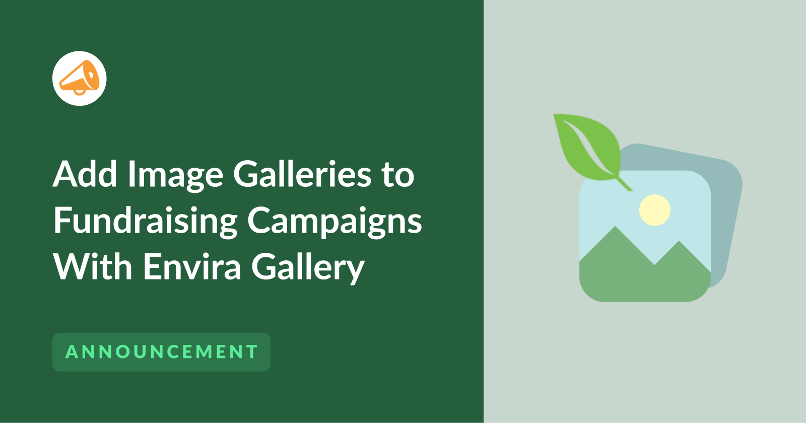 Add Image Galleries to Fundraising Campaigns With Envira Gallery