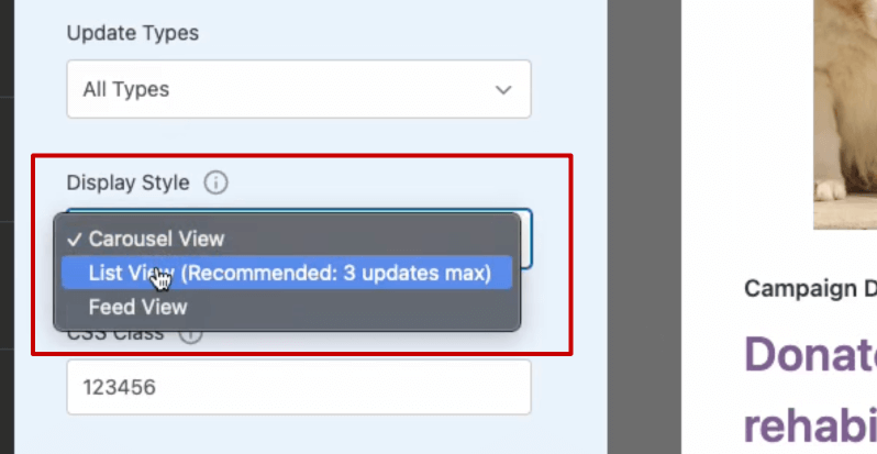 Display style in campaign updates