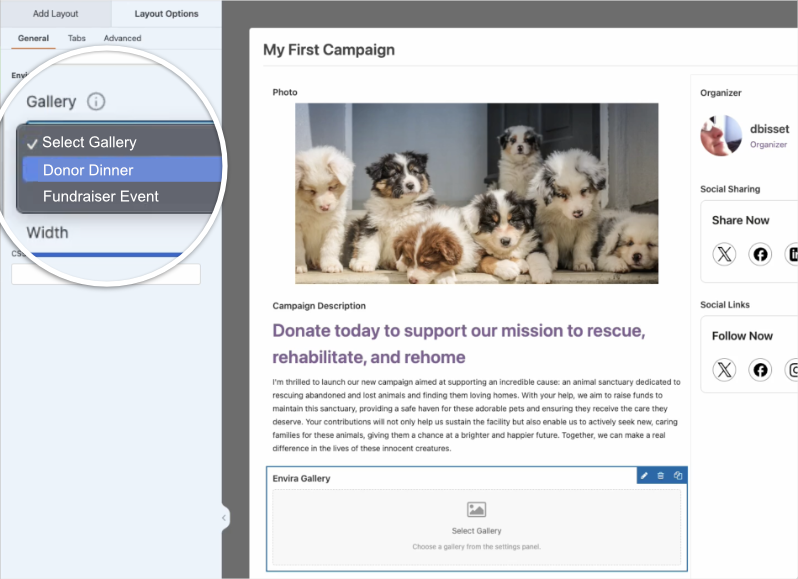 Select Envira Gallery Widget