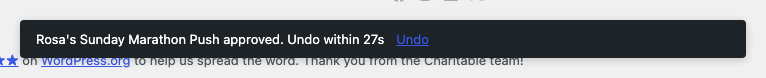 The Undo pill appearing inline after an approval, showing a countdown timer