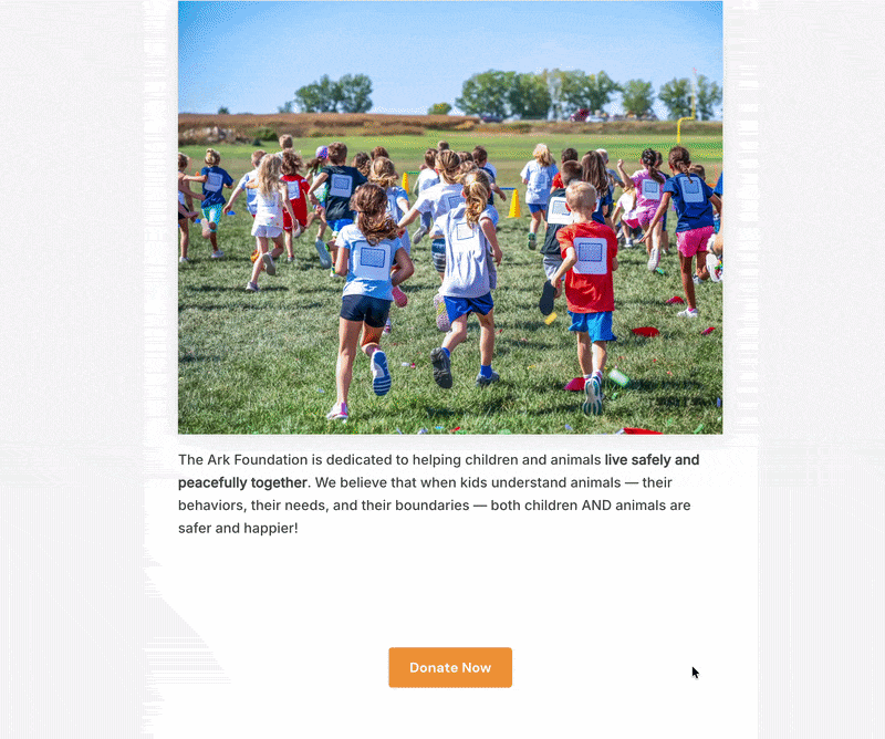modal donation popup | Charitable modal donation popup
