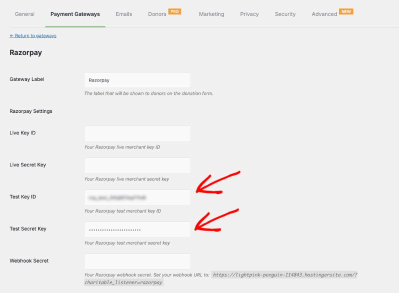Test keys in Razorpay | Charitable Test keys in Razorpay
