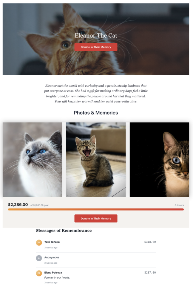 Screen Shot 2026-07-13 at 105848 AM | Charitable Hero banner showing a close-up of a ginger cat with the text 'Eleanor The Cat' and a red 'Donate in Their Memory' button