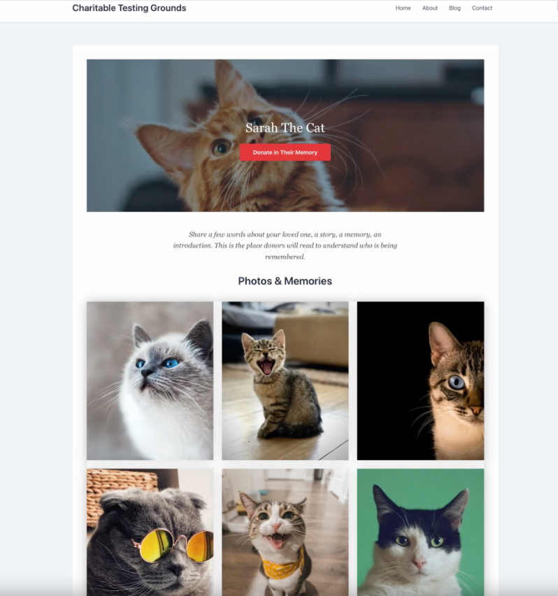 16-frontend-sarah-the-cat | Charitable Hero image of a cat with the title 'Sarah The Cat' and a red 'Donate in Their Memory' button; below is a 'Photos & Memories' gallery with six cat photos in a grid.