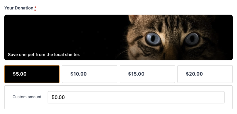 Screen Shot 2026-07-11 at 82805 PM | Charitable Banner with a close-up of a cat's blue eyes against a black background and the message 'Save one pet from the local shelter.' (informational donation prompt)