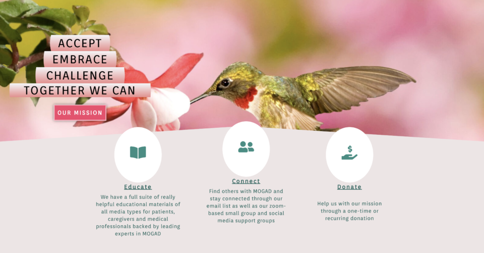 The mog project | Charitable The MOG Project