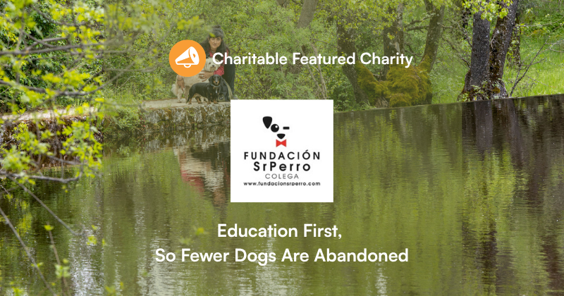 Fundacion SrPerro Colega | Charitable Fundacion SrPerro Colega