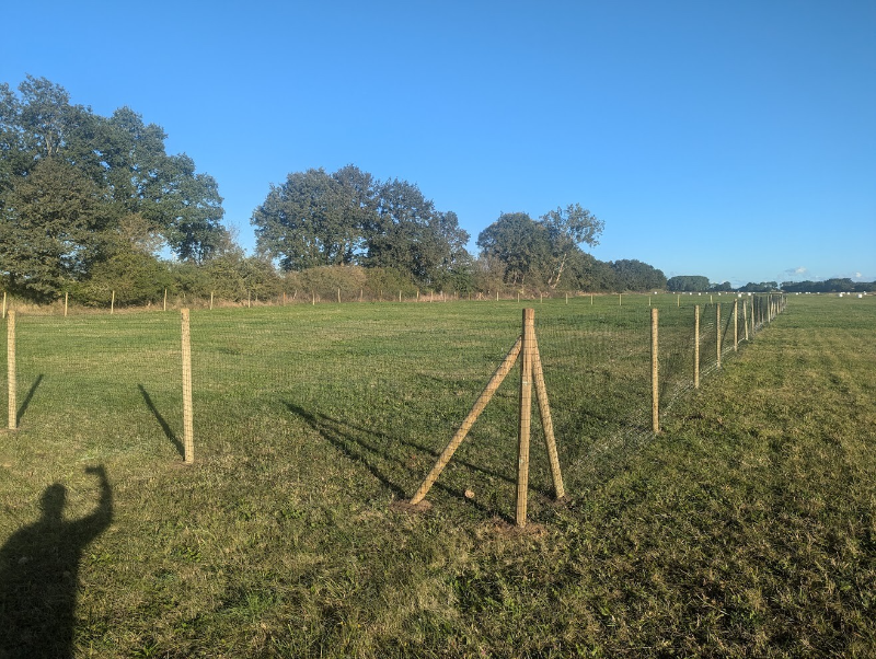 emissionx1 Open pasture with a long line of wooden fence posts extending to the horizon under a clear blue sky; the photographer's shadow is in the foreground.