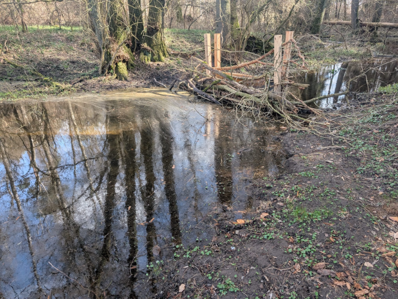 emissionx3 Wooden posts and stacked logs form a barrier across a waterlogged forest clearing with reflected trees in the water.