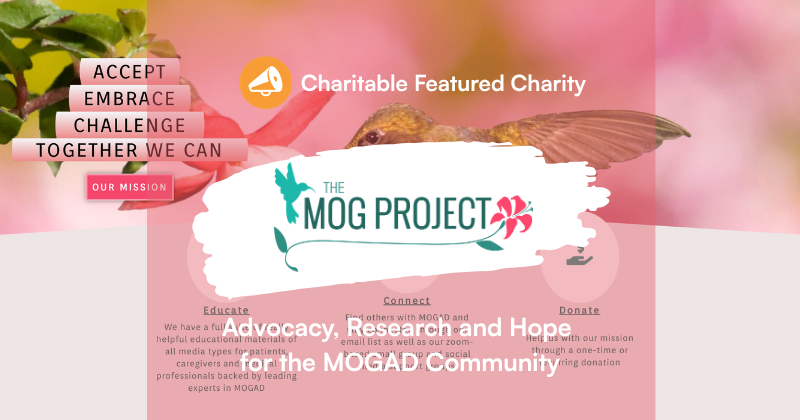 mog project | Charitable Charity banner for The MOG Project with a pink collage background, hummingbird logo, and the slogan 'Advocacy, Research and Hope for the Mogad Community'.