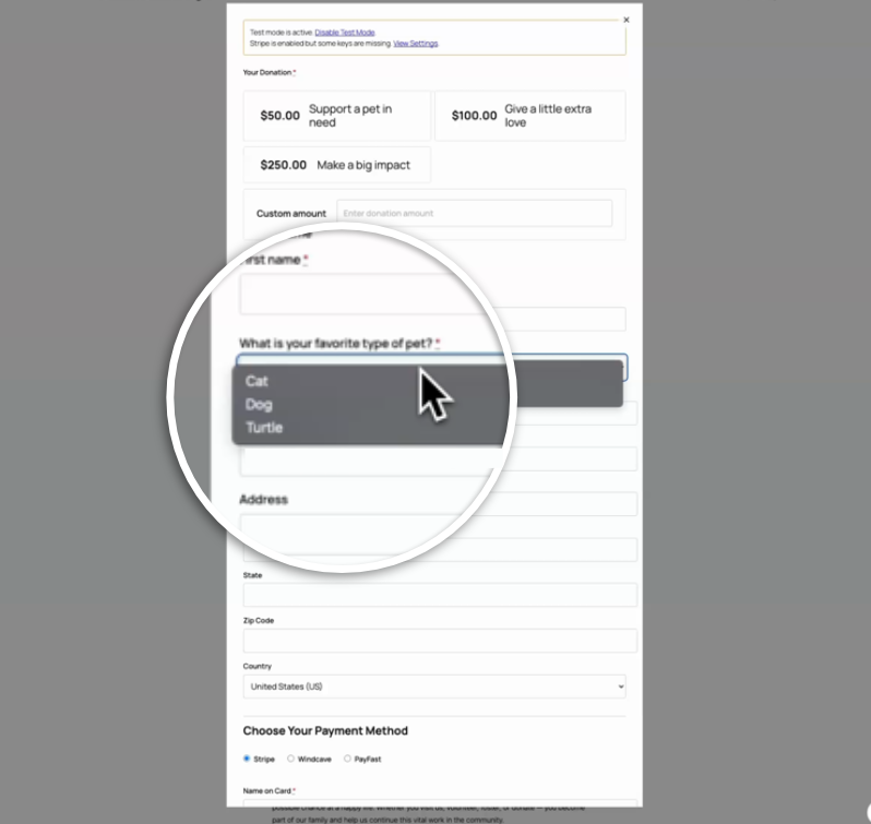 add-a-donation-form-with-ai-added-dropdown