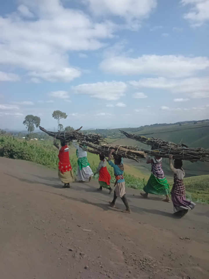 forecasted africa 2 | Charitable Women in colorful dresses carry a large bundle of sticks on their heads along a dirt road in a rural landscape under a blue sky.