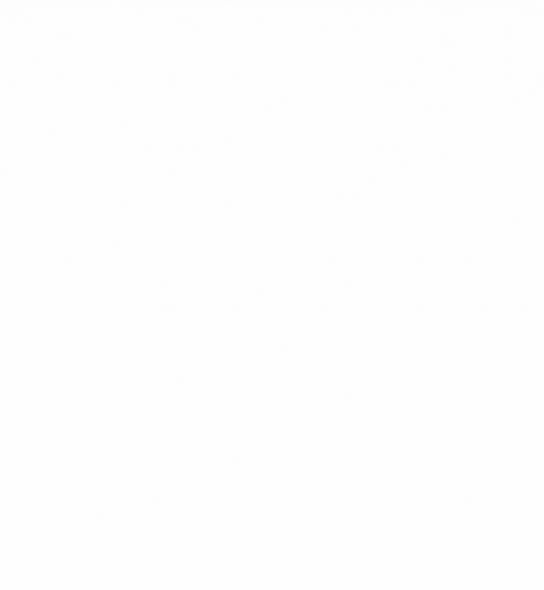 wpvibe integration feature | Charitable Blank white image with no content, serving as a placeholder or spacer.